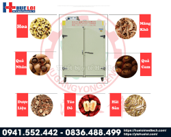 https://hueloimedtech.com/image/cache/catalog/v1/1-thiet-bi-dong-y/may-say-duoc-lieu/tu-say-da-nang-2-canh-yf-6chz-15/tu-say-duoc-lieu-cao-cap-2-canh-250x200.png