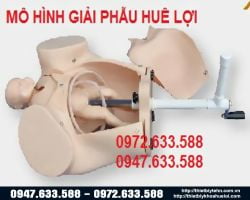 Mô hình thực tập đỡ đẻ