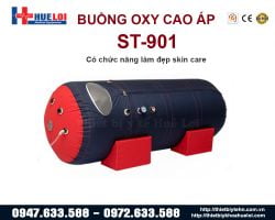 https://hueloimedtech.com/image/cache/catalog/v1/buong-oxy-ap-suat-cao/buong-oxy-cao-ap-250x200.jpg