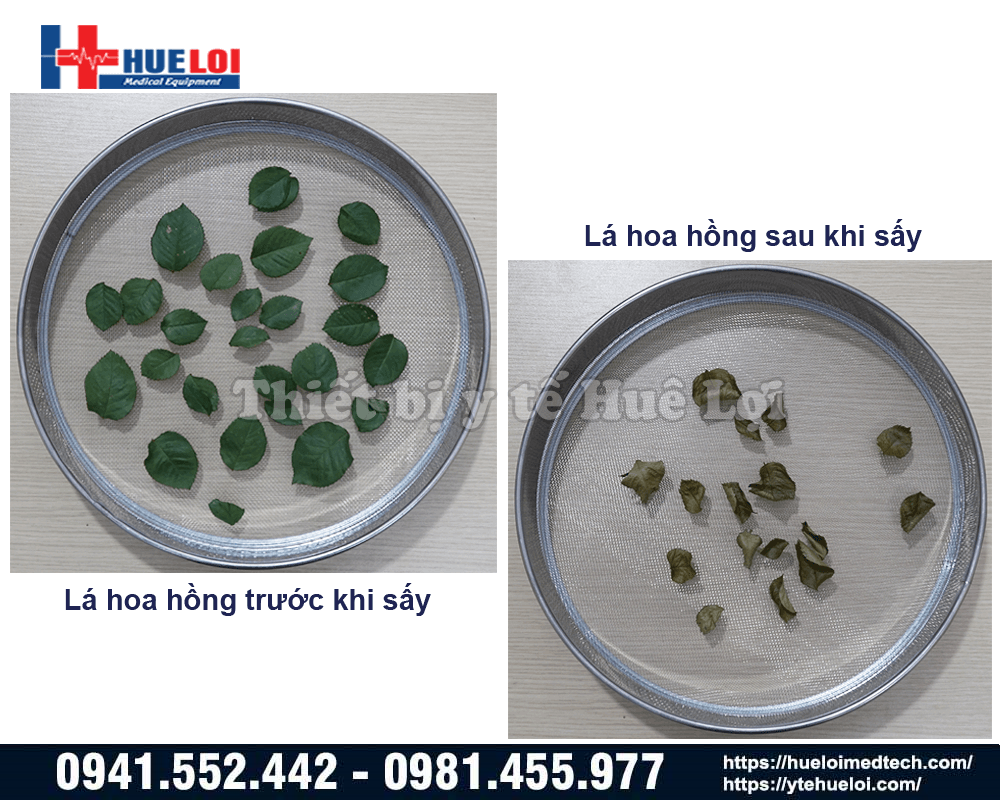 tủ sấy dược liệu trung quốc