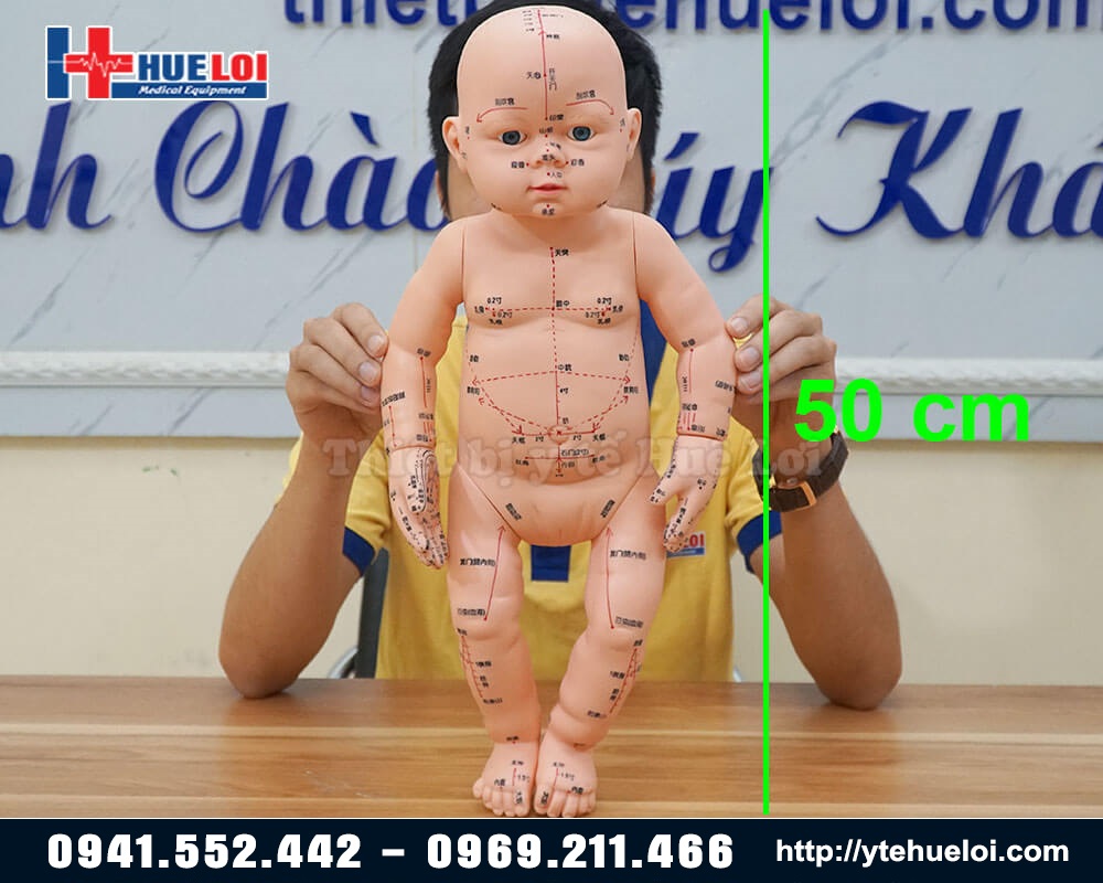 kích thước mô hinh huyệt vị trẻ em