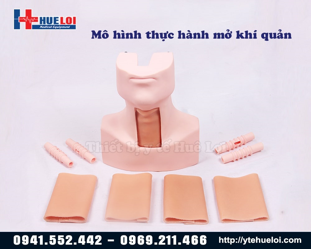 mo hình thực hành mở khí quản